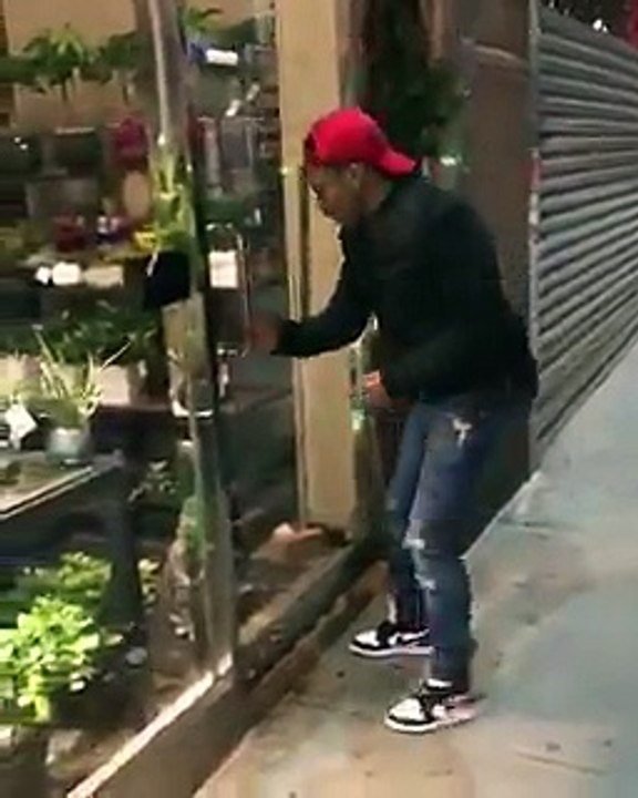 me when I seen animal in a shelter