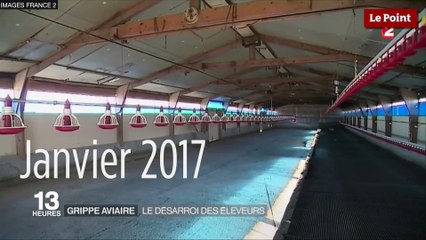 Fin de la grippe aviaire : le point sur la situation dans le Sud-Ouest