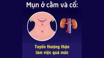 Đọc vấn đề sức khỏe qua các vị trí nổi mụn