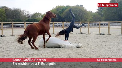 Pays de Landivisiau (29). L’Equipôle prépare les Equi’Folies