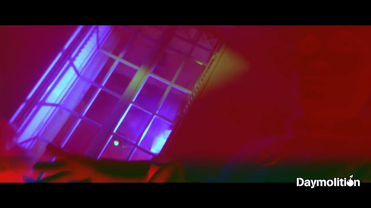 Vin's - Bête Noire  Daymolition