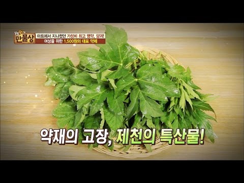 여성을 위한 1500원 대표 약제 ‘당귀’[만물상 146회 20160626