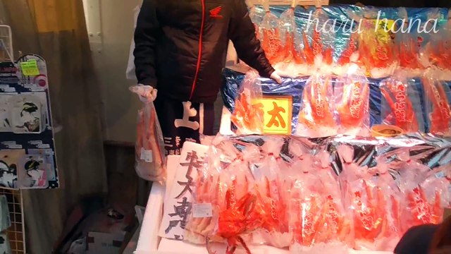 【haru*hana】vol.34 CROSS GENE　撮影メイキング 「大晦日アメ横散策＆忘年会パーティー」