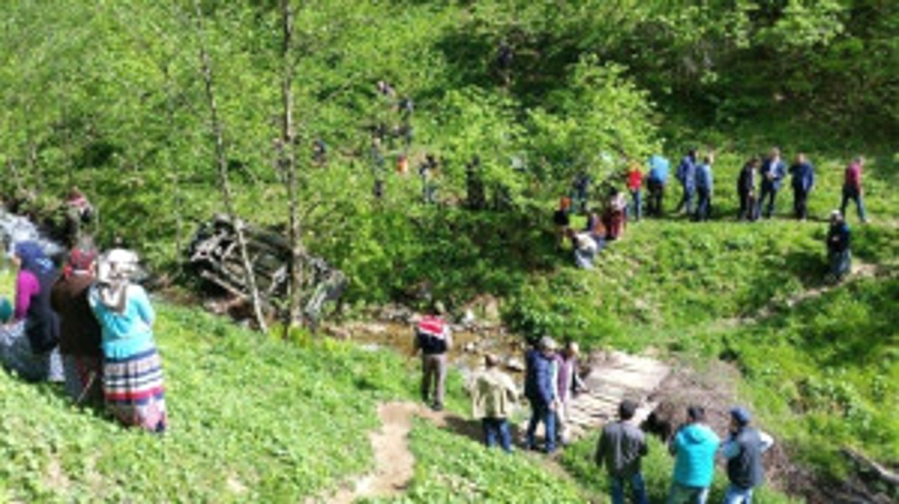 Trabzon Yayla Yolunda Feci Kaza: 4 Ölü, 3 Yaralı