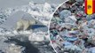 Samudra Arktik menjadi ujung perhentian sampah plastik di lautan - Tomonews