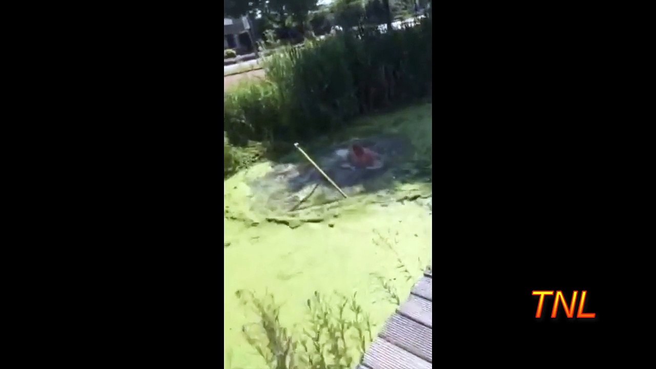 Fail Compilation Spring 2017 _36