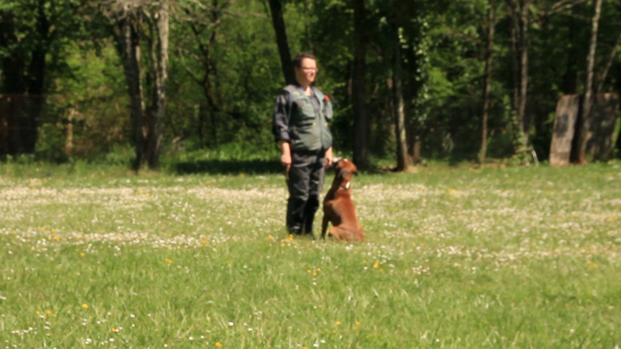 Geisha entraînements à Pradines, le Rappel, 2017-05-04