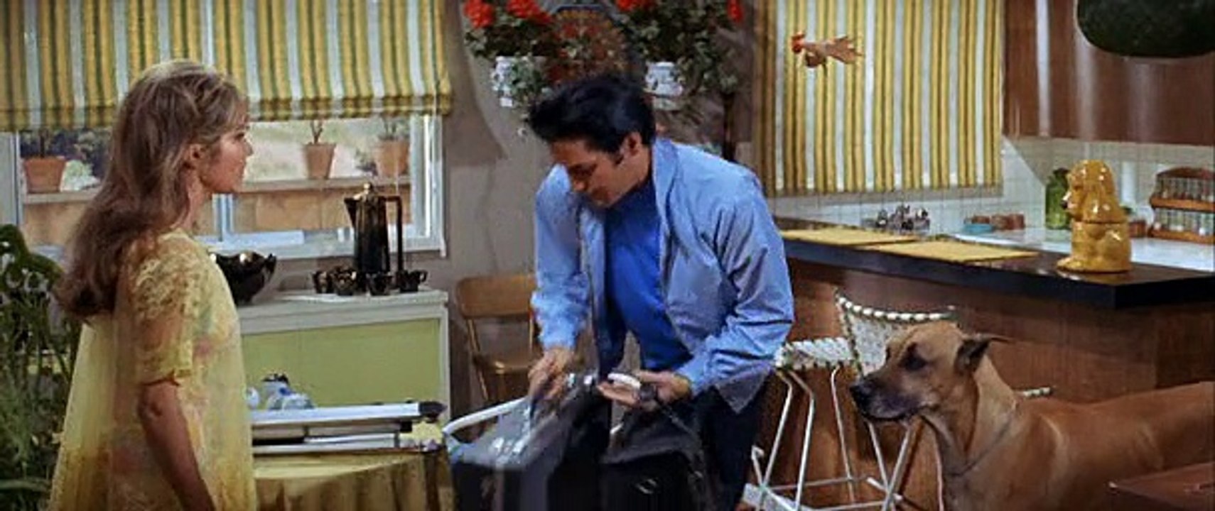 Live a Little, Love a Little (1968) 1/2