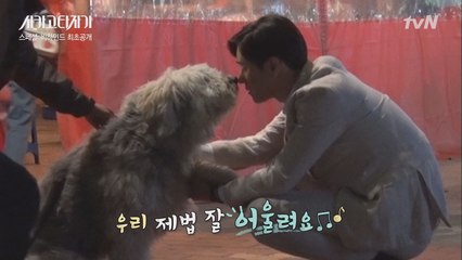 고견(犬)표♥견우 촬영 뒷이야기!