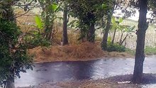 Hujan