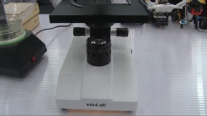 Sultangazi Belediyesi, İstanbul Gençlik Festivali'nde