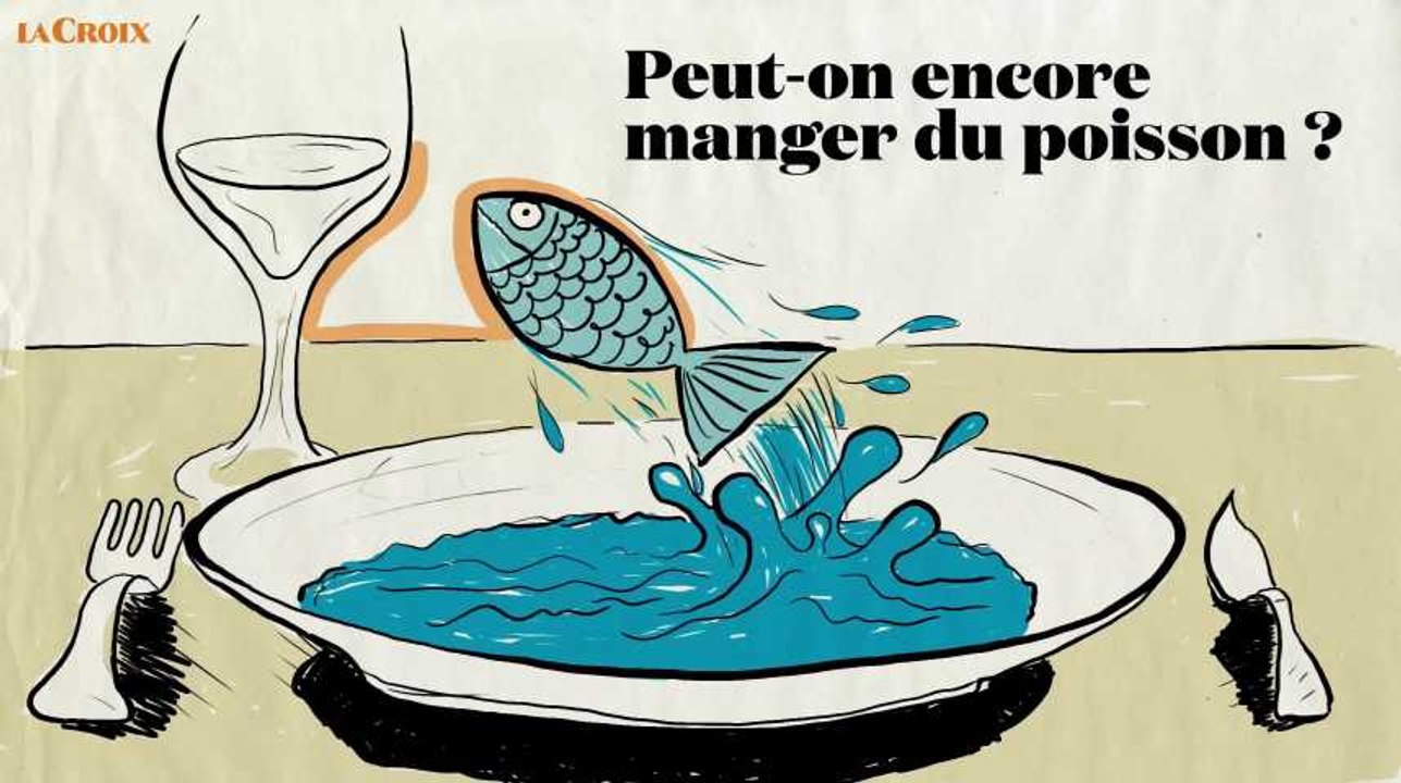 Peut-on encore manger du poisson ?