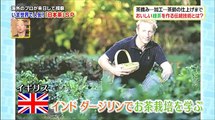 世界が驚いたニッポン!スゴ～イデスネ!!視察団 2時間スペシャル 160604 (1)