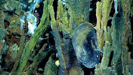 NASA Just Revealed There Could Be Life On Saturn's Moon