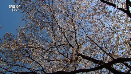 문화유산 코리아.170505.절의와 기개, 호남의 선비 정신을 좇아