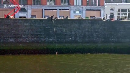Rescuers use rubber ring to save cat from river in Dublin
