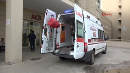 Şanlıurfa Siverek'te 'Hayvan Otlatma' Kavgası: 4 Yaralı