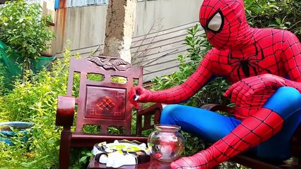 Dinosaurs for kids spiderman Siêu nhân nhện săn khủng long bạo chúa w- Superhero in real life fun -)