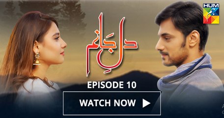 Dil e Jaanam Episode 10 Full HD HUM TV Drama 5 May 2017