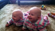 funny babies 2017 most funny twin babies laughing video ever