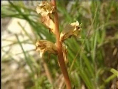 4 randonnées dans les Alpes du Sud
