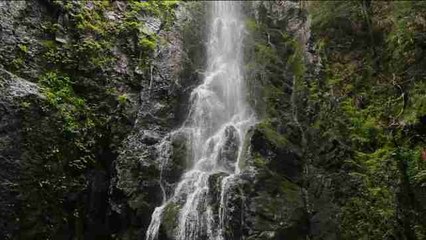 La cascada de Burgbach se presenta imponente en el paisaje alemán
