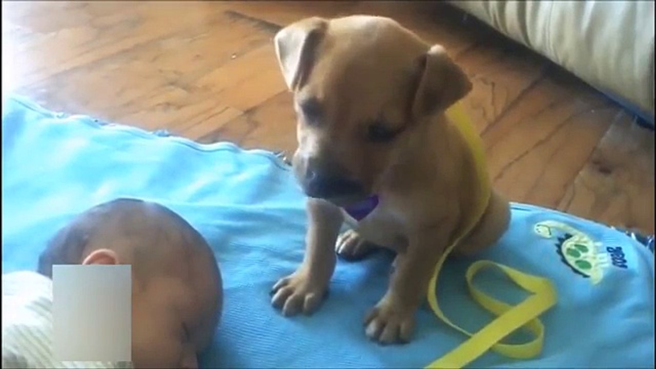 THIS WILL MAKE YOU SMILE 8 - YouTube
