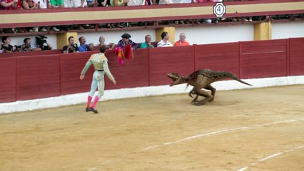 To those who say bullfighting is cultural heritage and as national history should be preserved