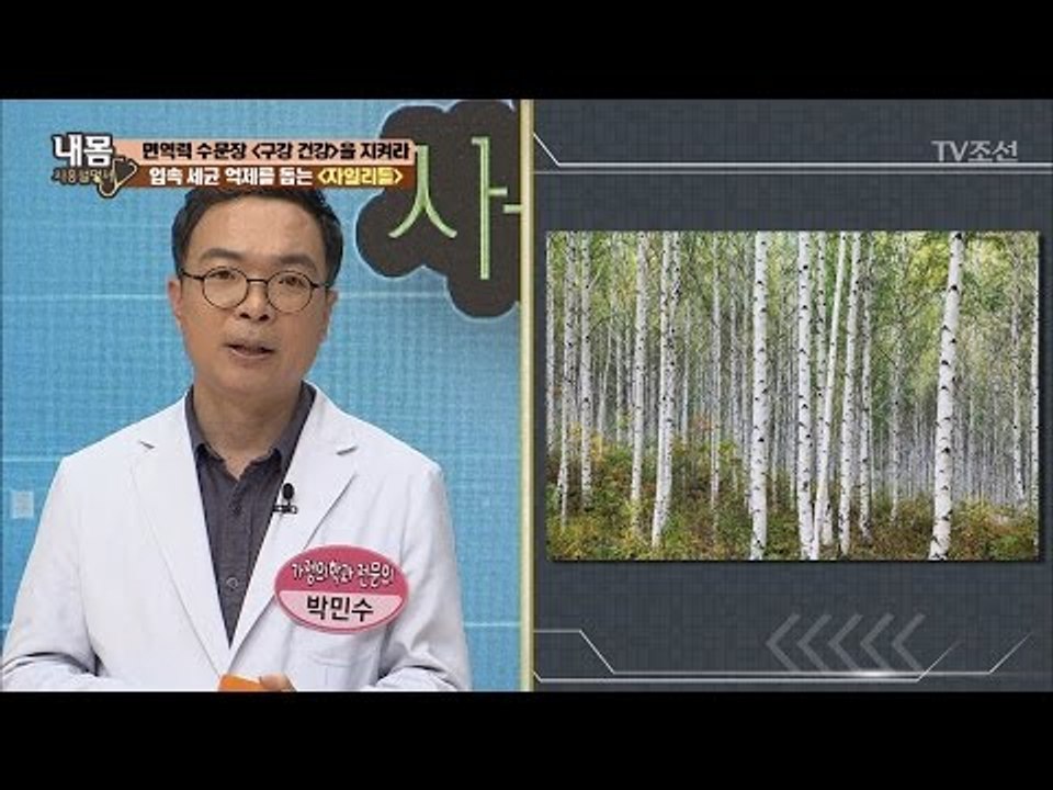 건치왕의 비법! ‘자일리톨’ [내 몸 사용설명서] 152회 20170505
