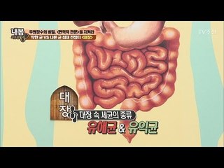 대장 속 숨어있는 어마어마한 세균의 수! [내 몸 사용설명서] 152회 20170505