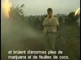 La police indonésienne brûle 3 tonnes de cannabis: toute la ville finit défoncée