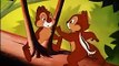 Chip and Dale Donald Duck-Out On A Limb,Watch Tv Series new S-E 2016