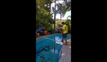 Il essaie de traverser une piscine avec une planche.