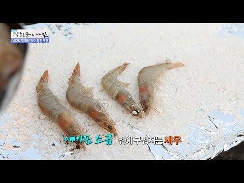 일한 뒤에 먹으면 꿀맛~새우를 먹어보자! [광화문의 아침] 259회 20160623