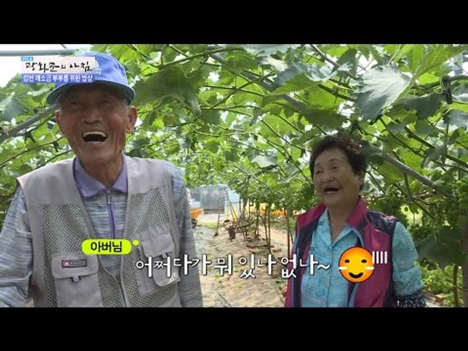 김천 깨소금 부부, 58년 화목한 비결은? [광화문의 아침] 259회 20160623