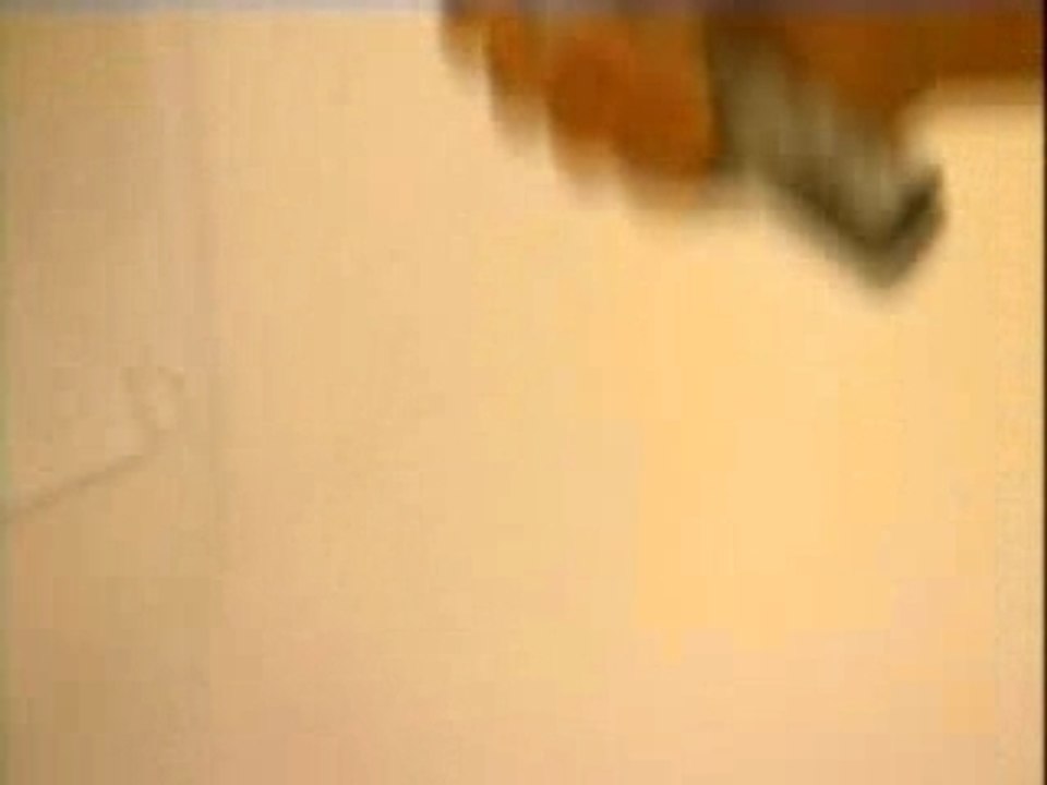 Les peintures décoratives