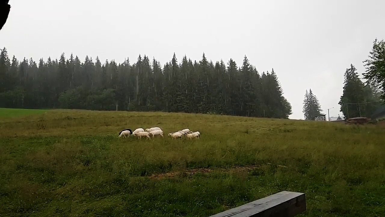 20160701 152141 001
