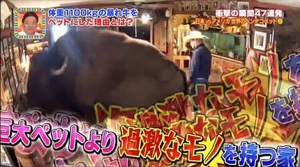 ウソのような本当の瞬間！３０秒後に絶対見られるＴＶ 160719 part1 part 2/2