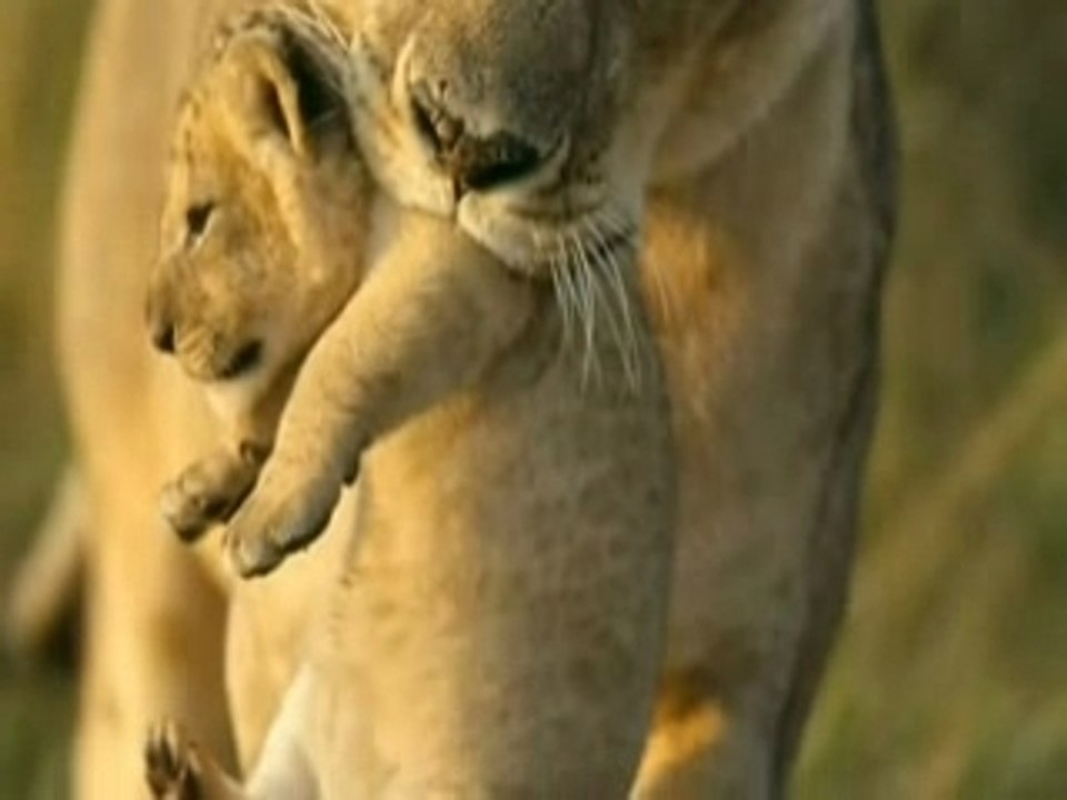 Photographes de l'impossible