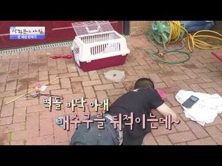 목숨을 걸고 동물을 구하는 사람들! [광화문의 아침] 257회 20160621