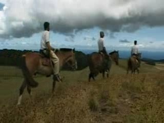 A l'ombre des Géants