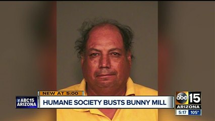 Humane Society busts "bunny mill" rescuing 99 bunnies