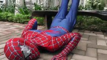 (5)_Joker Push spiderman fall Into Lake Giant Crab Attacks!!! Superheroes Venom Children Action Movies