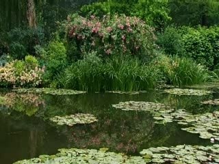 Les Nymphéas, le grand rêve de Monet