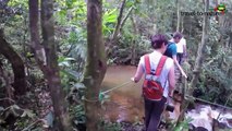 Costa Rica - Naturerlebnis mit travel-to-nature-4-qNFXuUB80