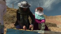 Queen bees_   honey co-ops help Afghan women take control