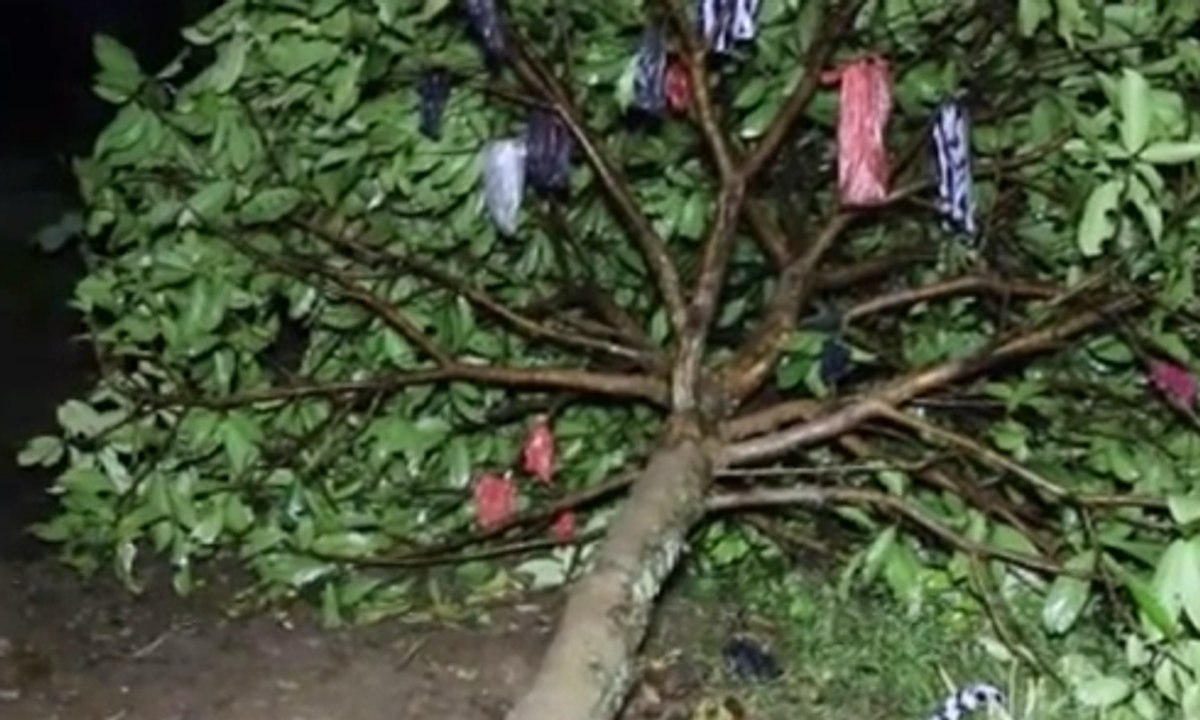 Puting Beliung Hancurkan Rumah Warga