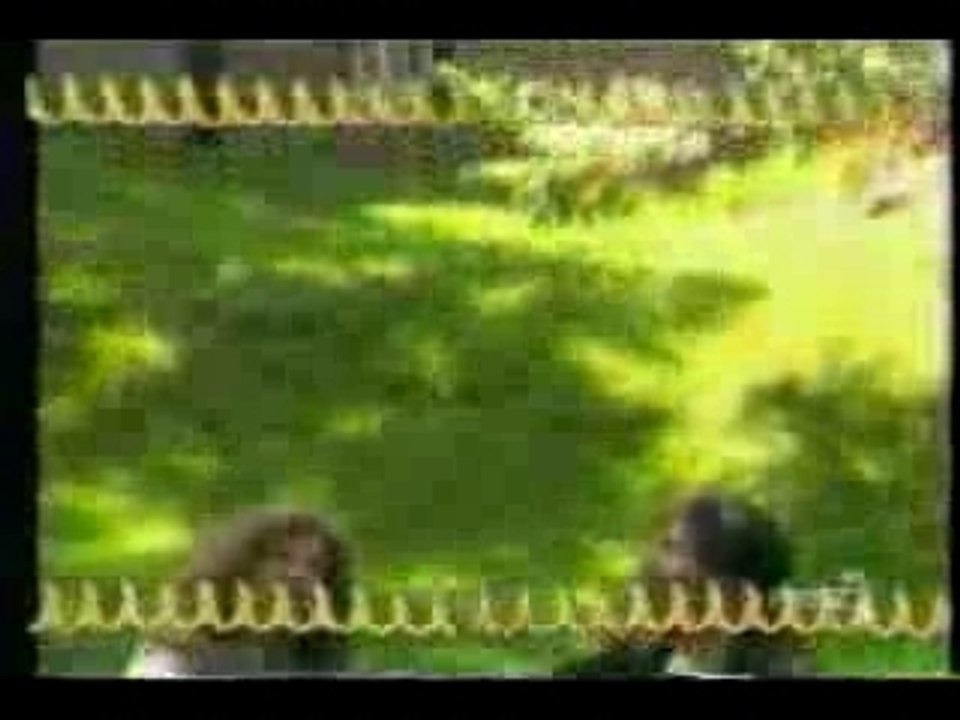 Peau de Banane