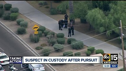 Driver leads police on pursuit