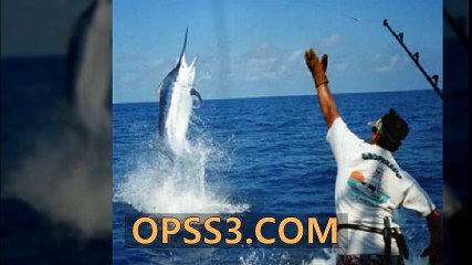 Recreational fishing 구리오피 오피쓰 구리건마 WWW.OPSS3.COM